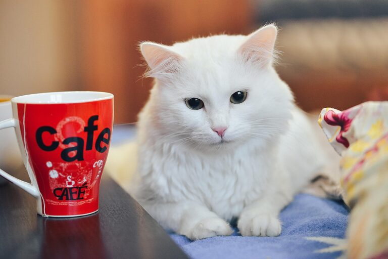 ChatGPTを活用したインスタグラム集客の方法は？