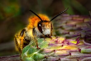 ChatGPTを使ったマーケティングにおけるAPI連携の方法は？