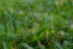ChatGPTを活用したWeb集客の効率化方法とは？