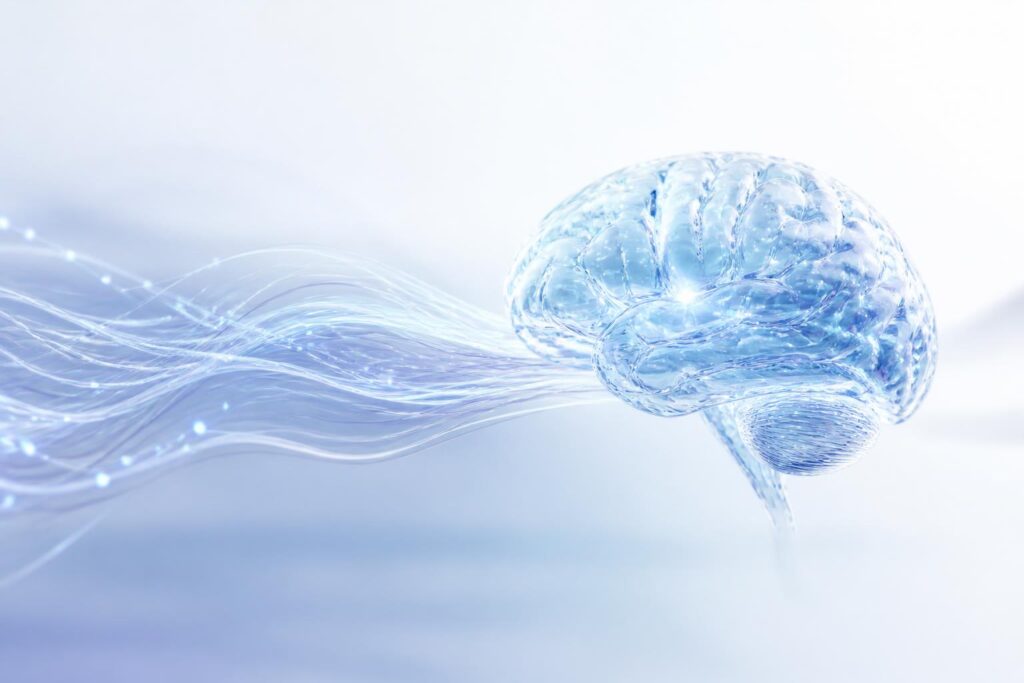 ドメイン年齢を調べる方法とその重要性は？